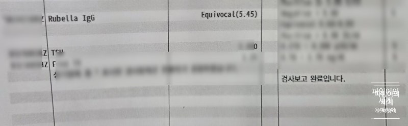 16주차 임산부 풍진 양성 대학병원 애디비티 검사 후기 (최종 위양성)