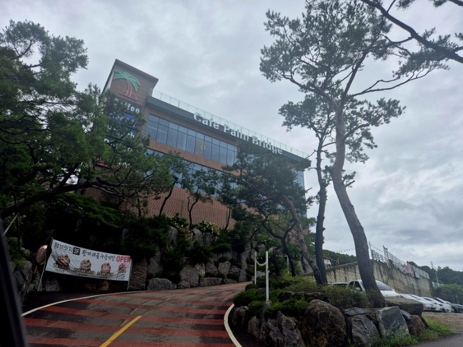 팜브릿지 사진 1