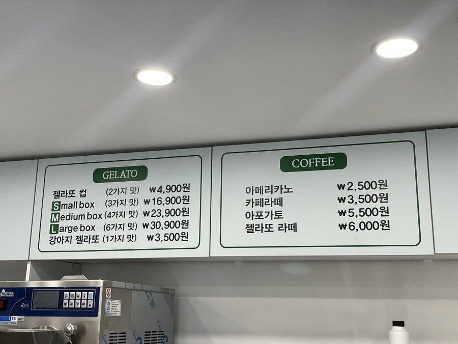 젤로디 사진 5