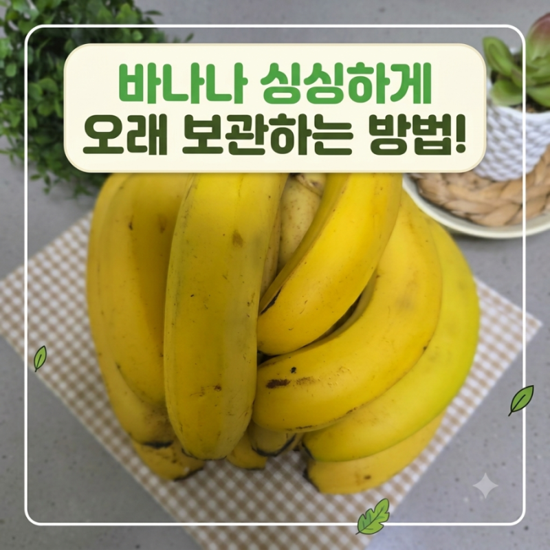 대용량 바나나 싱싱하게 오래 보관하는 꿀팁 온가프룻