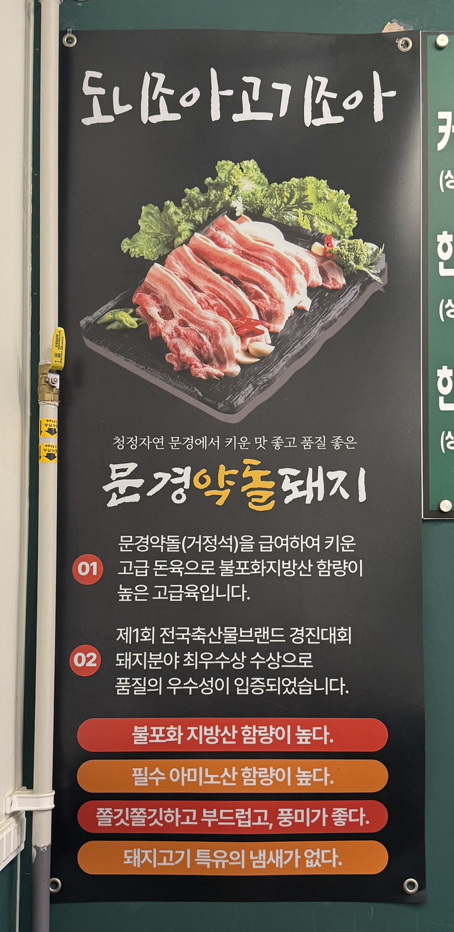 도니조아고기조아 사진 6