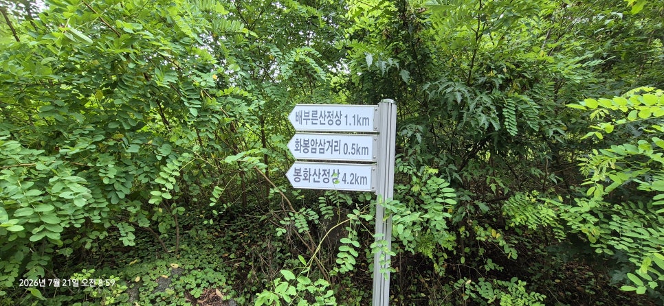 배부른산 사진 5
