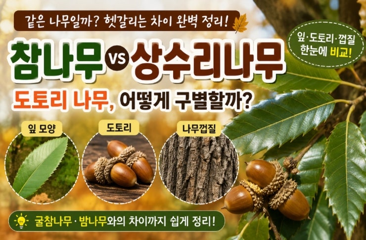 참나무와 상수리나무 차이점! 잎 모양과 도토리로 쉽게 구별하는 법