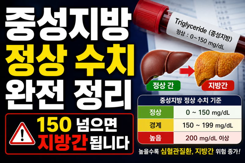 중성지방 정상 수치 완전 정리 | 150 넘으면 지방간 됩니다