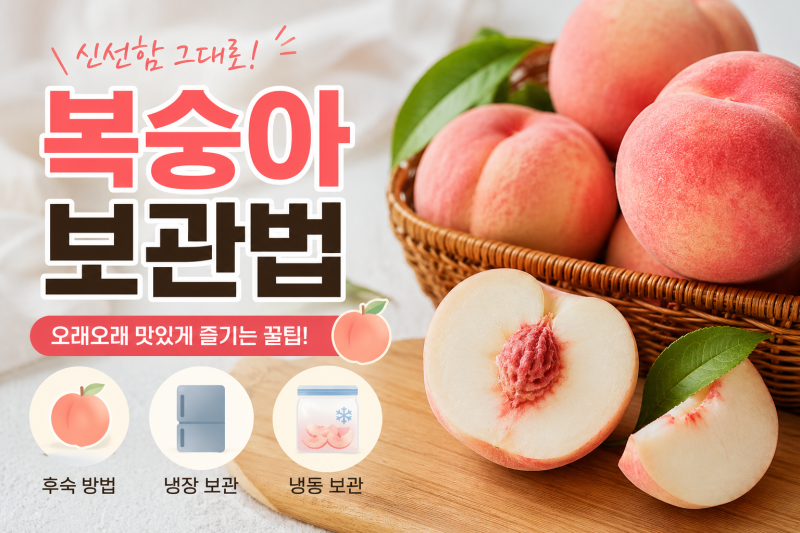 복숭아 보관법, 딱딱한 복숭아와 말랑한 복숭아 이렇게 보관하세요.