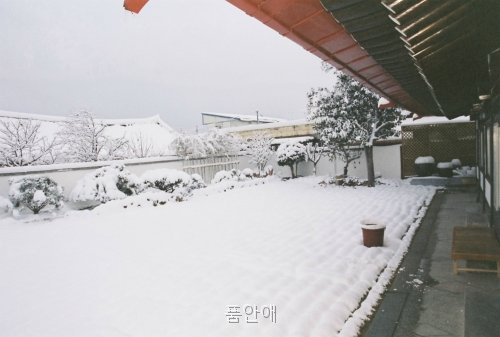 품안애 사진 1