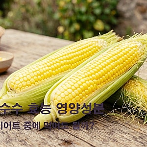 옥수수 효능 영양성분, 다이어트 중에 먹어도 될까?