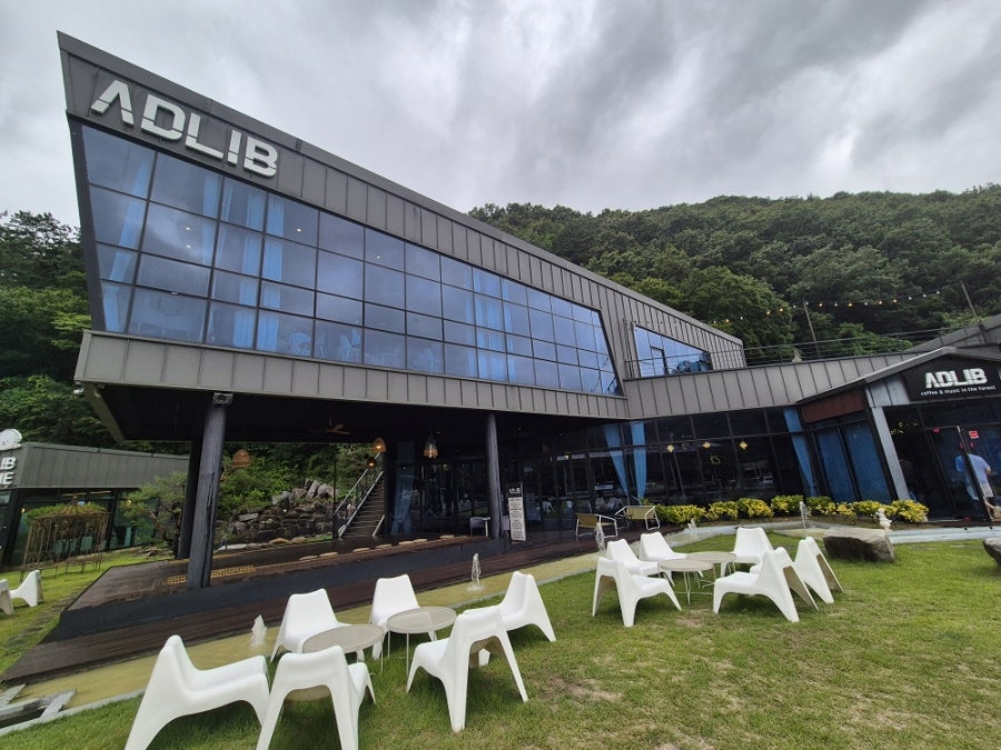 애드리브 사진 5