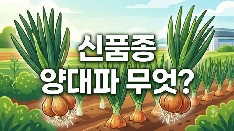 전참시 이영자 양대파 김치부터 신품종 효능·구입·요리법까지 총정리