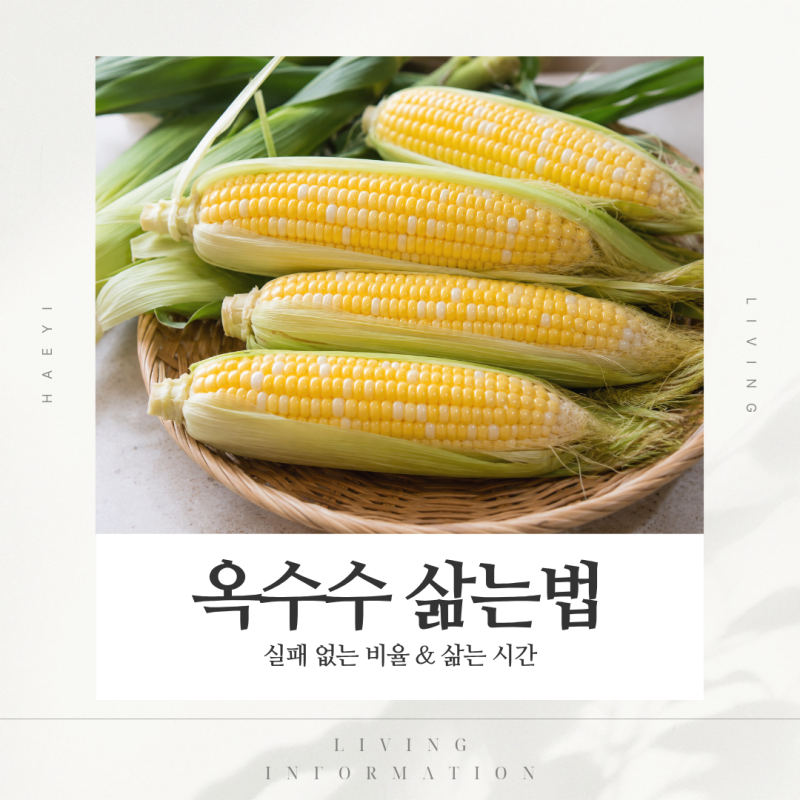 옥수수 삶는법 삶는시간 소금·설탕 비율 맛있게 삶는 꿀팁