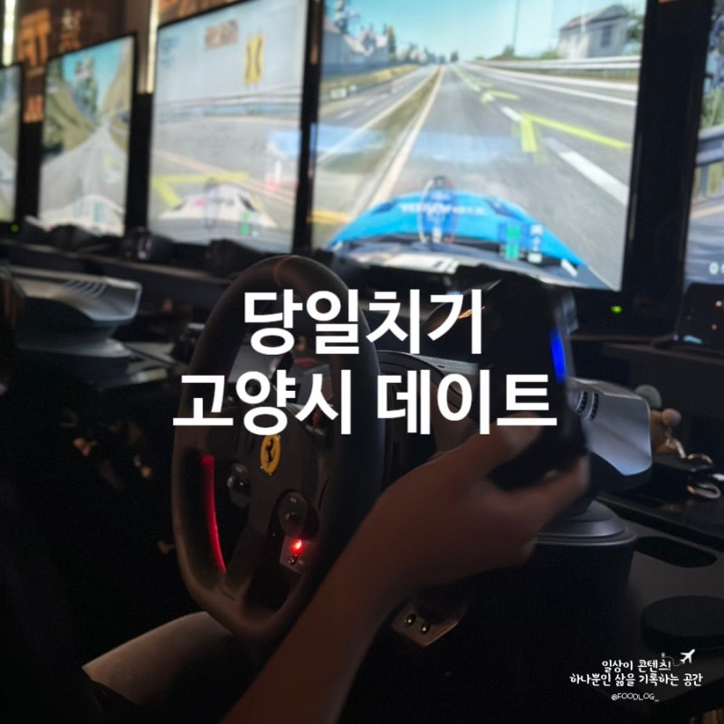 고양시 당일치기 데이트코스 | 맛집 카페 이색 실내 데이트까지 TFL