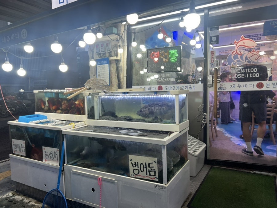 제주바다 사진 2