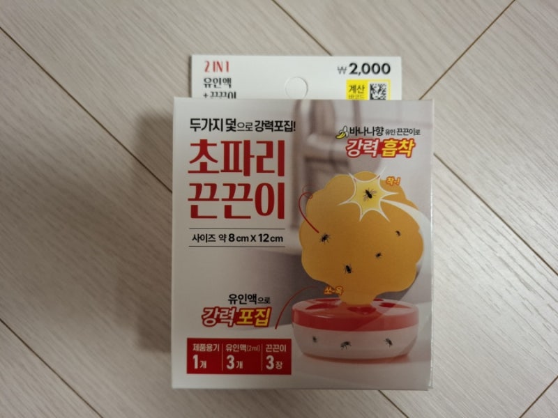 다이소 초파리끈끈이 초파리트랩 세트 실사용 후기 - 날파리 벌레 트랩 추천