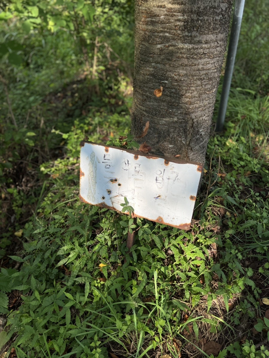 오봉산 사진 3