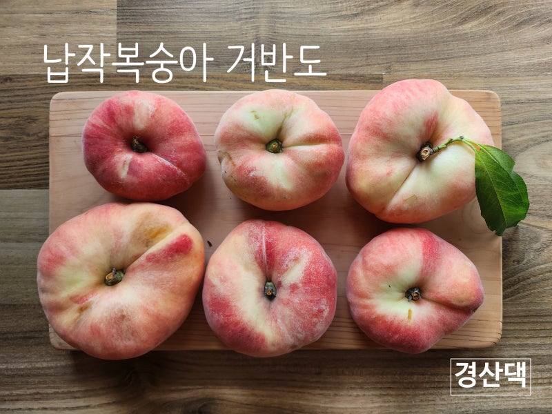 거반도 납작복숭아 경산복숭아 천반도 차이 납작복숭아 자르는 법 보관법