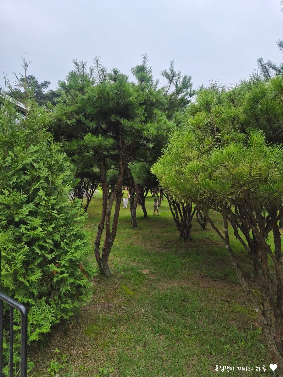 카페 에르도 사진 5