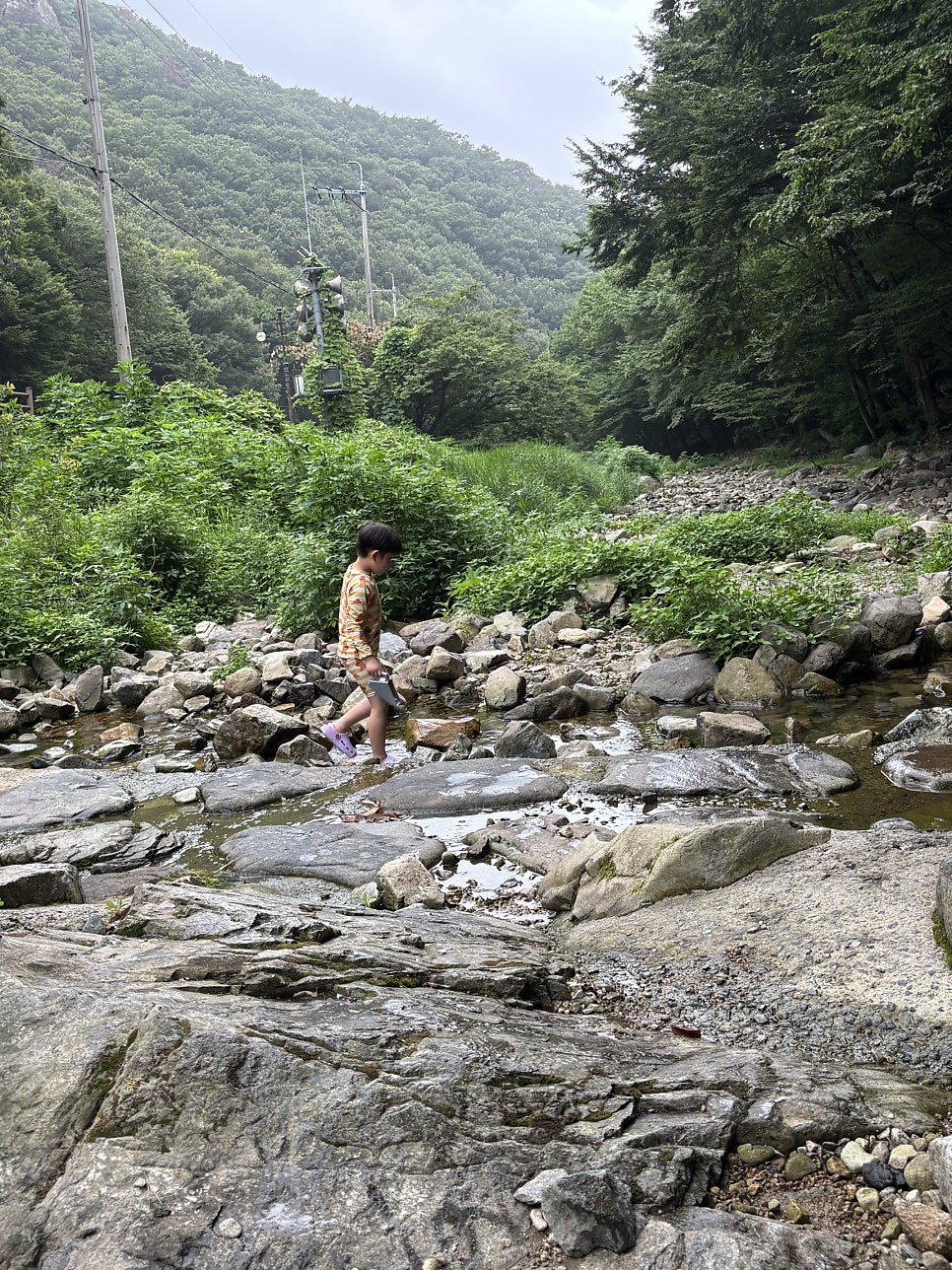 역마루청국장 사진 3