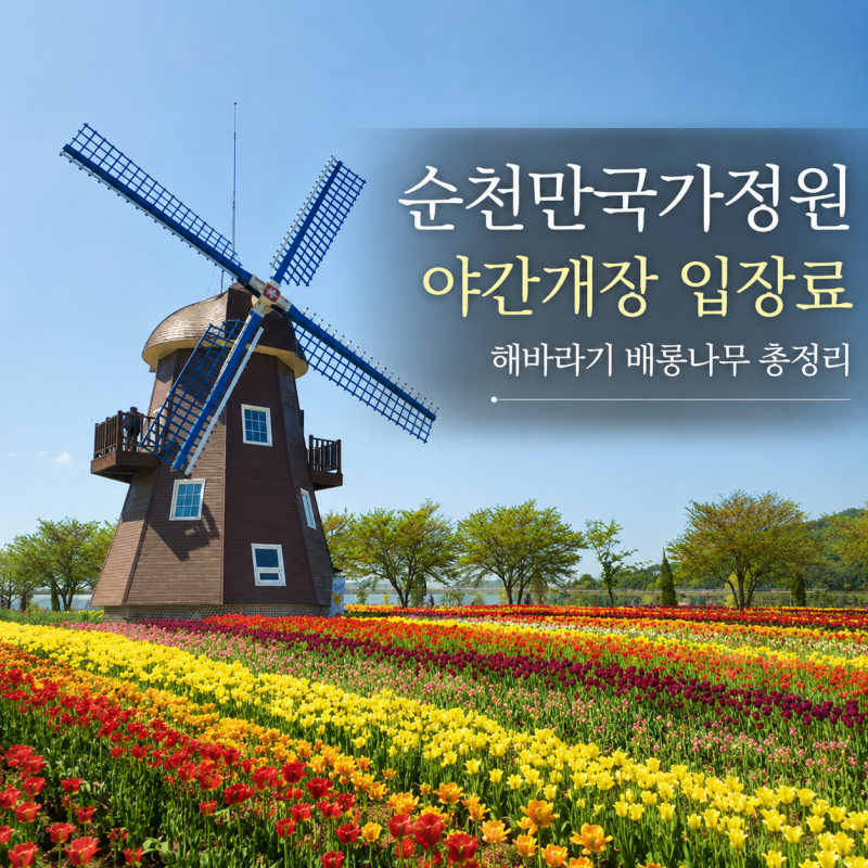 순천만국가정원 야간개장 입장료 해바라기 배롱나무 스카이큐브 순천 가볼만한곳 총정리