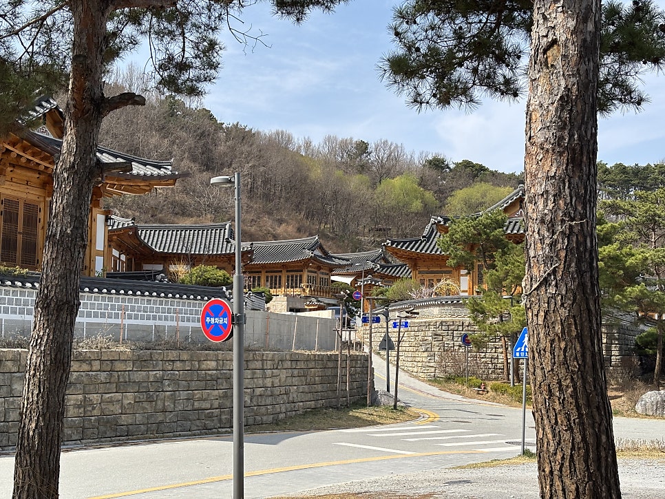 만나밀 사진 6