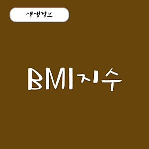 BMI지수 계산법 여자 남자 정상 지수 계산하기, 비만도 기준 총정리