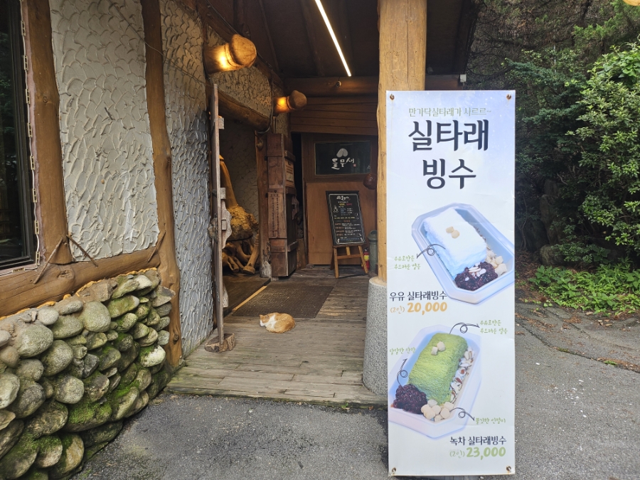 들무새 사진 6