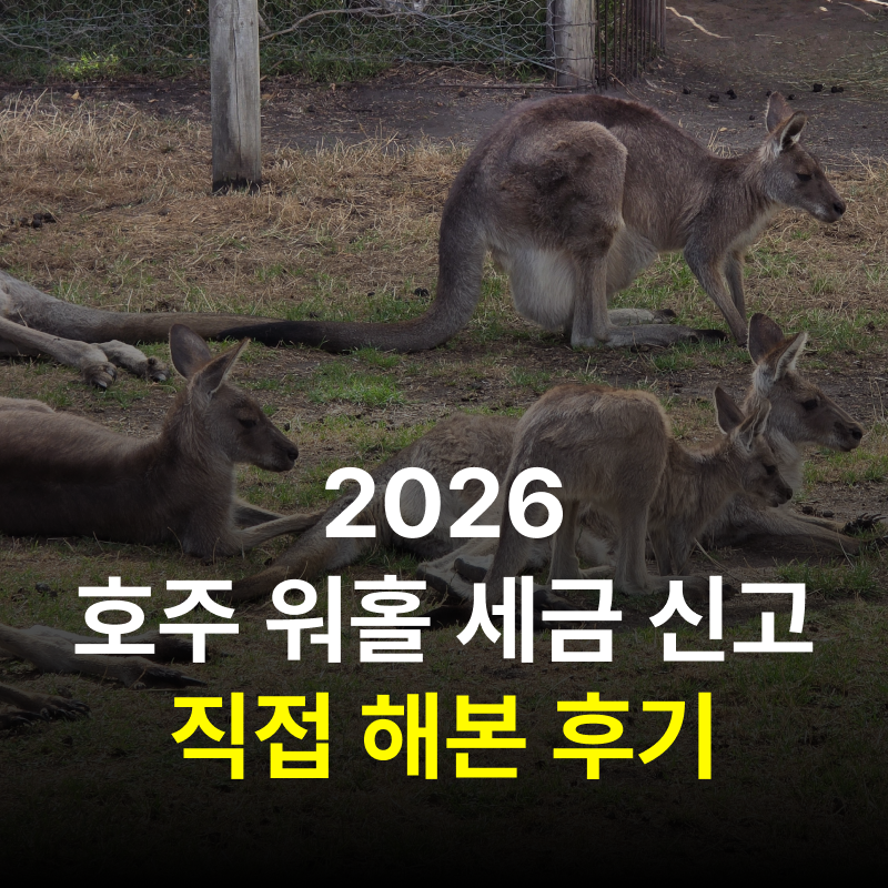 2026 호주 워홀 세금 신고 직접 해본 후기