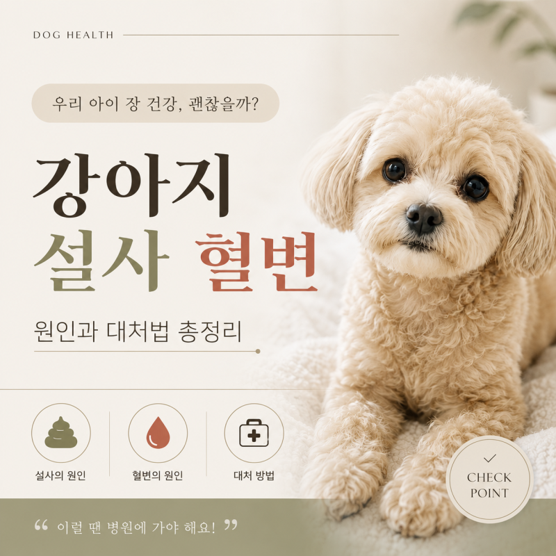 강아지 설사, 강아지 혈변이 보인다면? 꼭 알아야 할 원인과 대처법