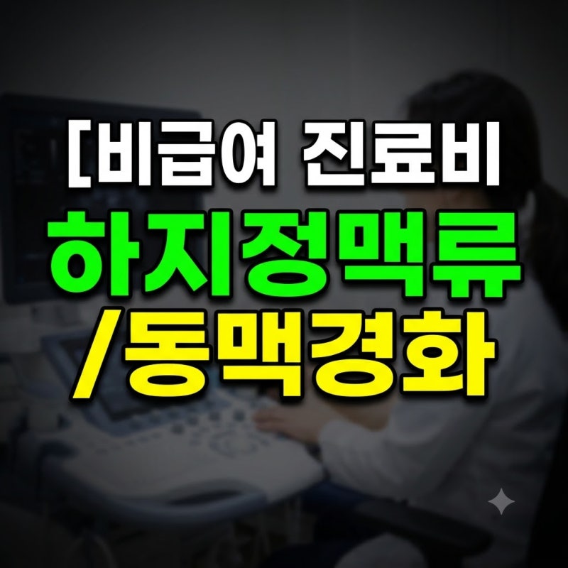 비급여5편(+건강보험심사평가원근거)순환기·혈관 질환 비급여 진료비 총정리: 동맥경화도 ....