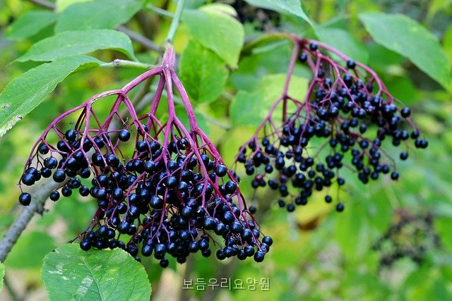 보듬우리요양원 사진 4