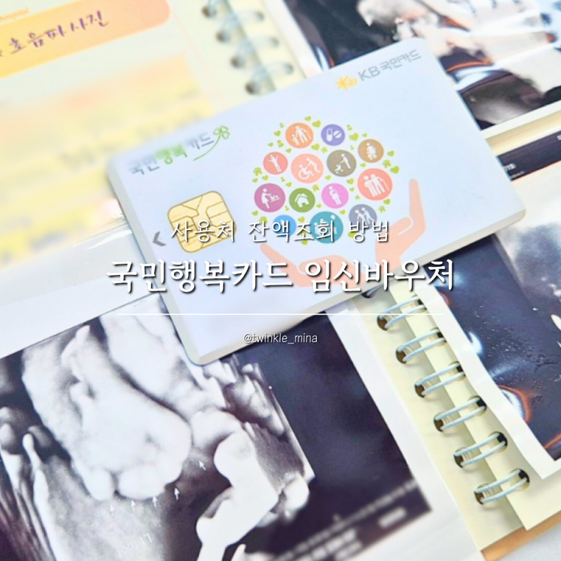 국민행복카드 신청 및 임신바우처 사용처 잔액조회 방법