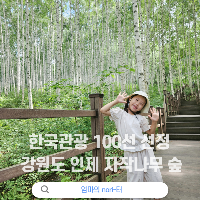 강원도 인제 여행 아이와 가볼만한 곳 :: 원대리 자작나무숲 주차안내, 소요시간, 난이도 후....