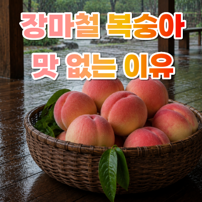 7월 8월 여름 제철 과일 복숭아, 장마철 맛 없는 이유, 복숭아 종류, 맛있는 복숭아 고르는 방....