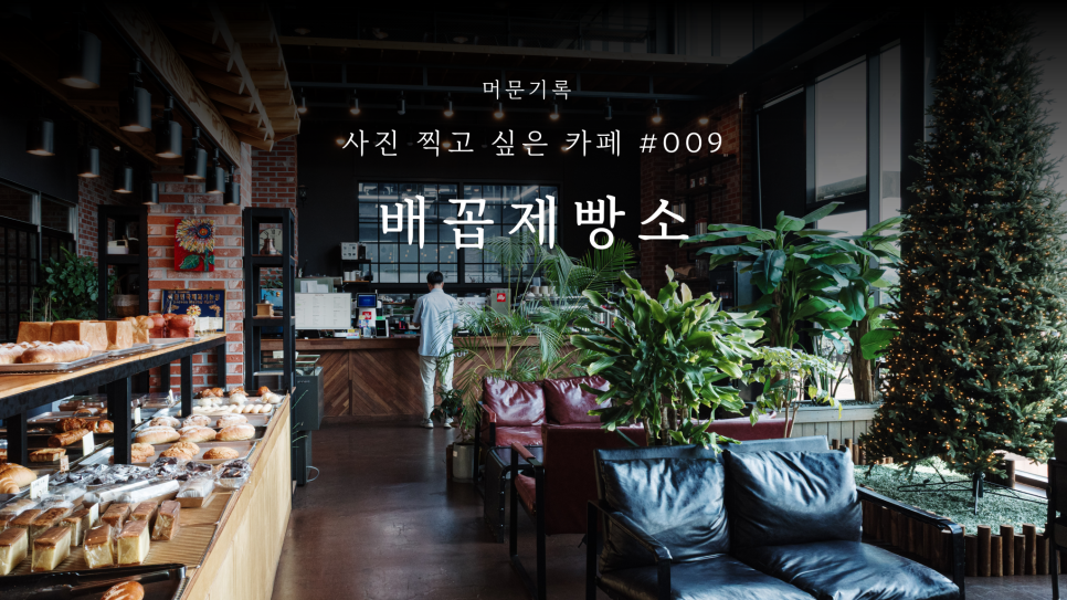 배꼽제빵소 사진 1