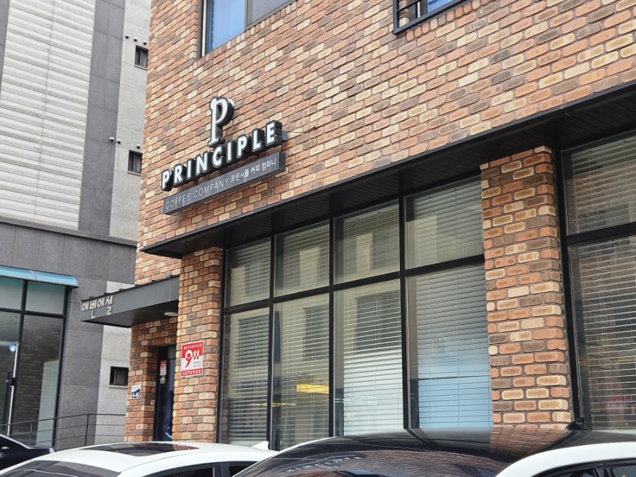 프린시플 사진 2