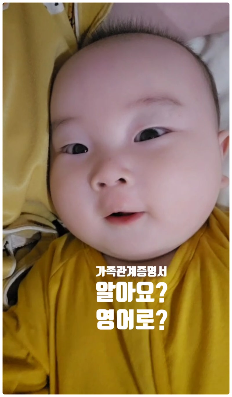 가족관계증명서 영어로 알아요? 발급·비자 제출 필수 영어 회화 & 단어 15선 완전 정리