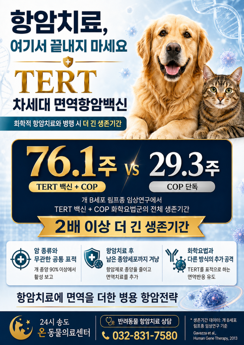 TERT 면역 항암 치료 도입 - 인천 강아지 고양이 항암 전문 동물병원