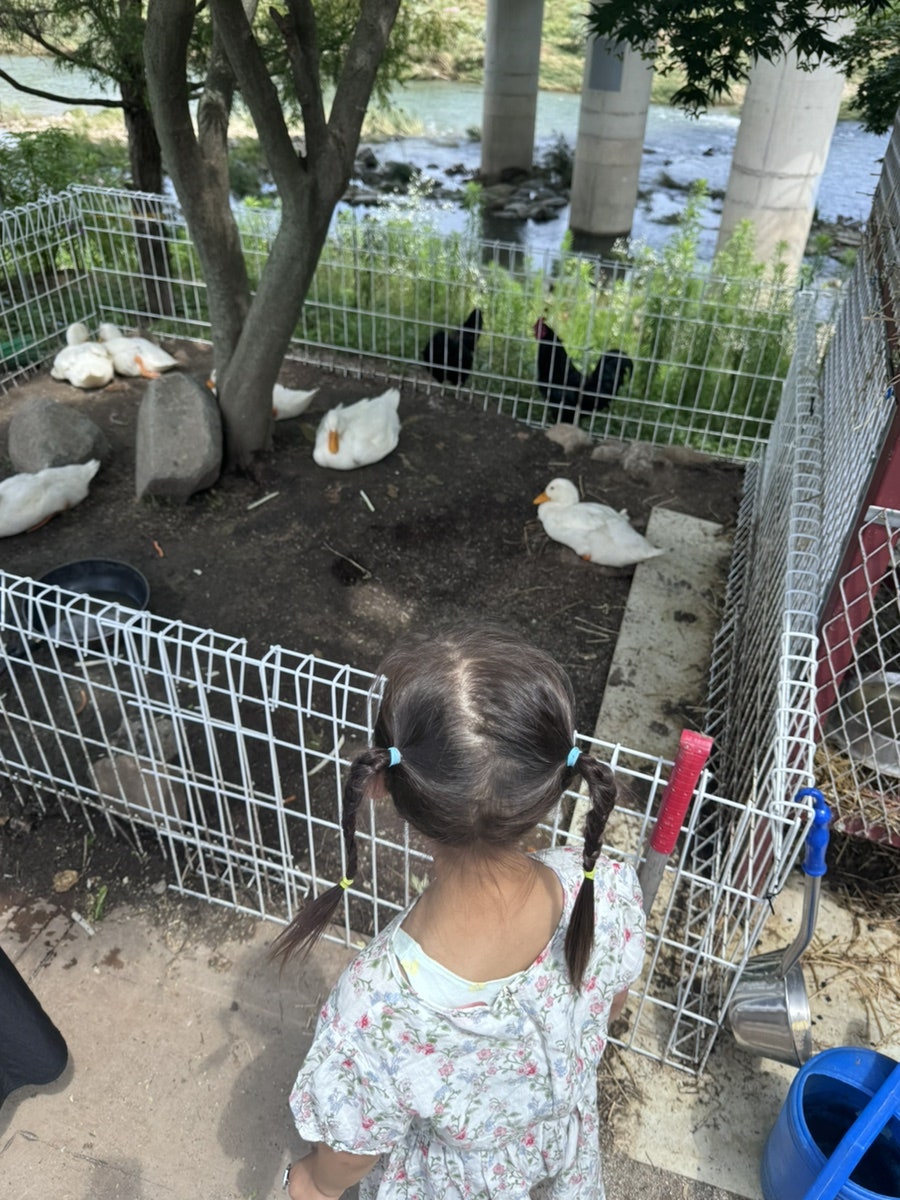 구스커피 사진 6