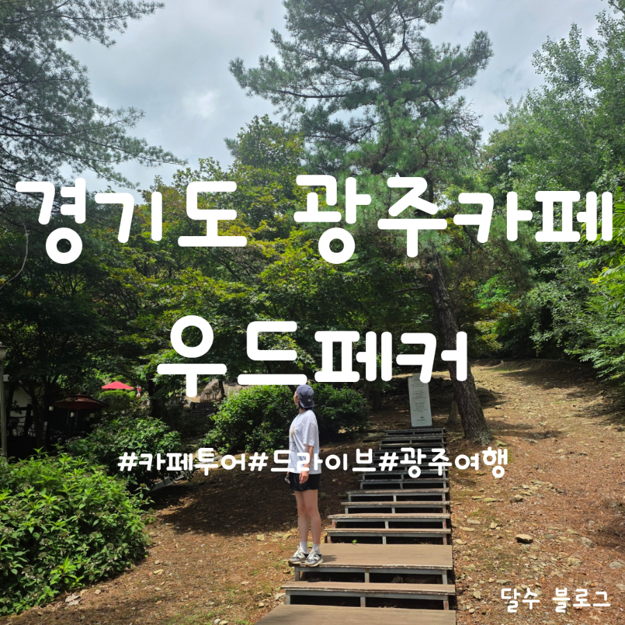 우드페커 사진 1