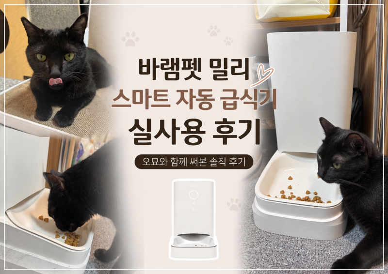 바램펫 밀리 자동급식기ㅣ오묘와 함께 사용 중인 고양이 스마트 급식기 실사용 후기