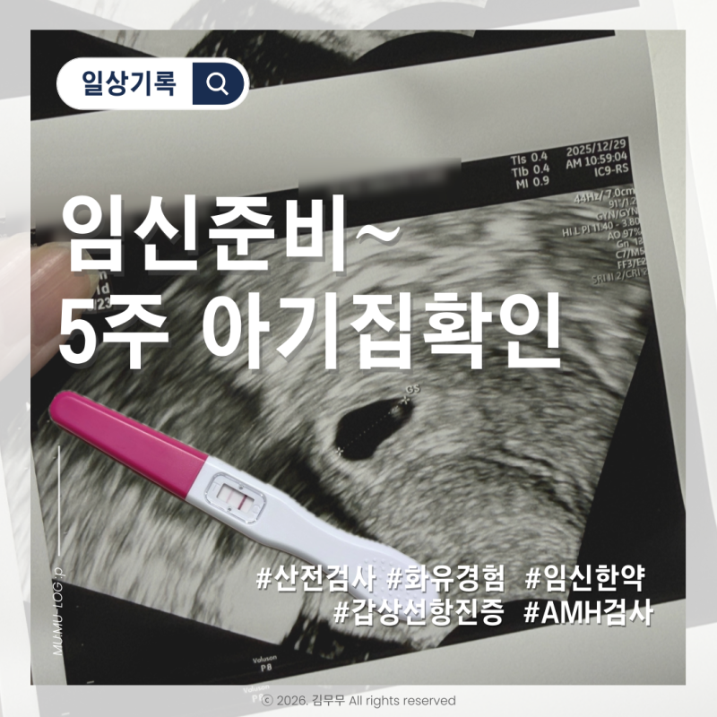 [임신준비 ~ 5주차] 보건소 산전검사, 임신한약, 화유경험, AMH검사, 갑상선항진증 진단, 아기....