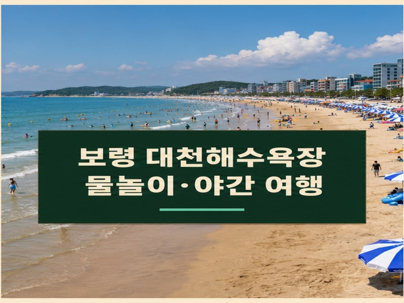 보령 대천해수욕장 개장 기간 물놀이 야간 여행 팁