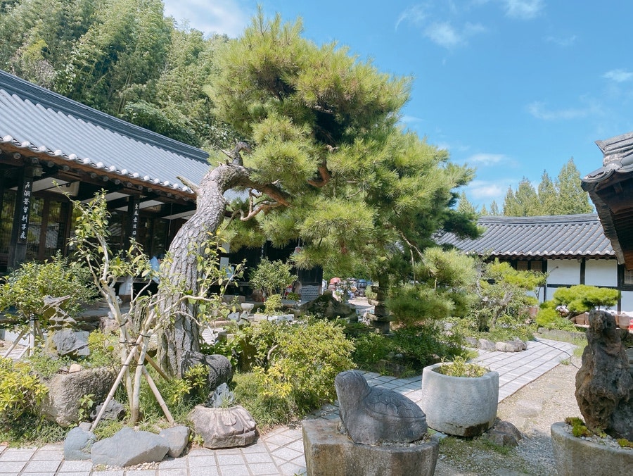 춘운서옥 사진 6