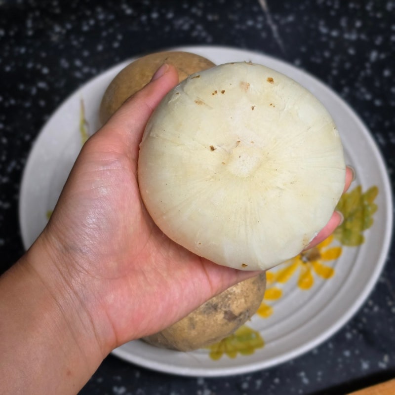 슈퍼푸드 히카마 멕시코 감자 농산물대통령 히카마먹는법