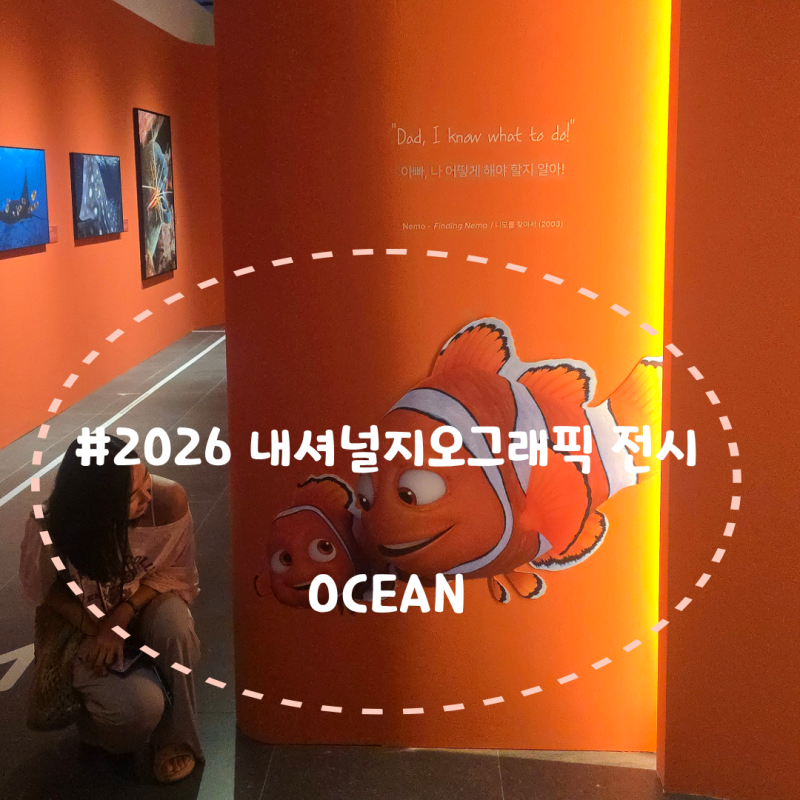 디즈니와 만난 '2026 내셔널지오그래픽 특별 서울 전시: Ocean' 관람 솔직 후기(ft.굿즈)