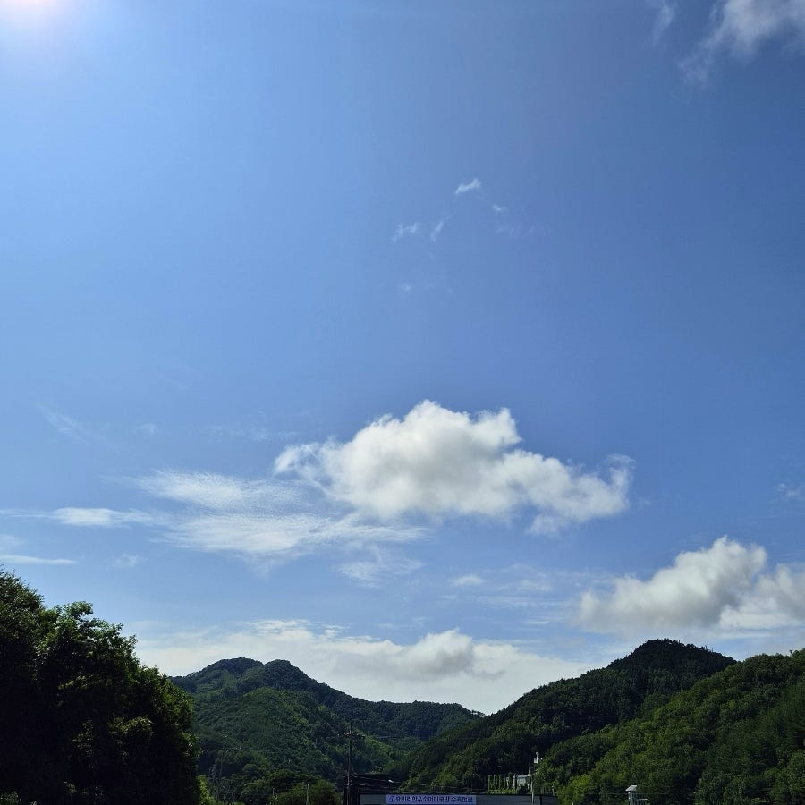수림밸리펜션 사진 3