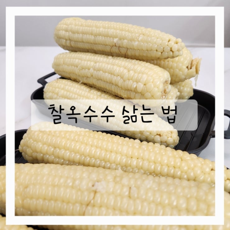 여름간식 찰옥수수! 맛있게 옥수수 삶는법 +보관방법