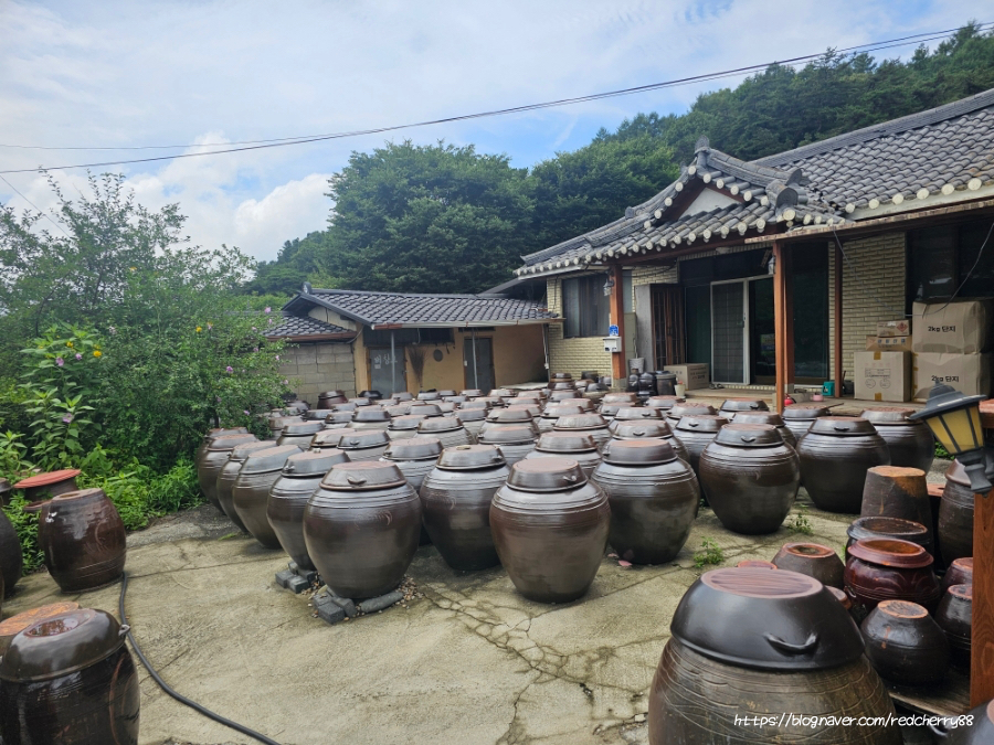 열두달밥상 사진 3