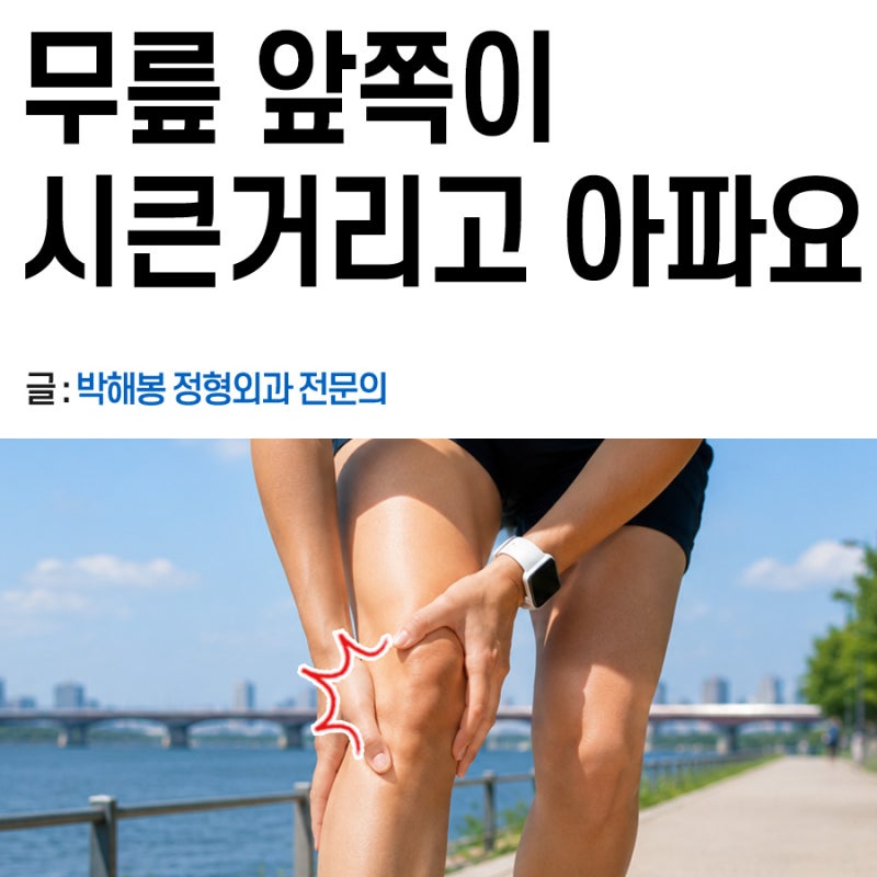 무릎 연골연화증 치료방법 (약, 운동, 충격파치료, 주사)