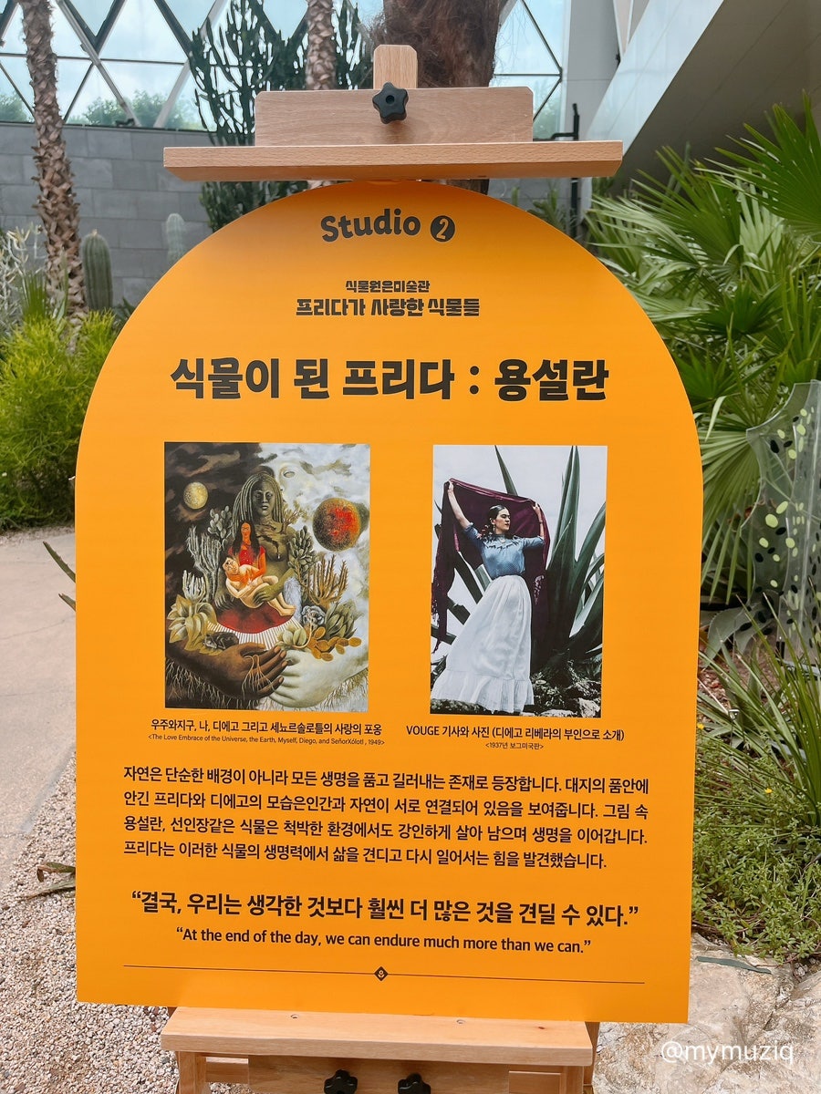 서울식물원 푸드코트 사진 4
