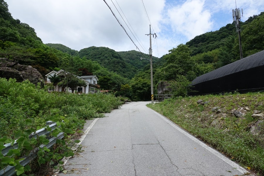 백련산 사진 3